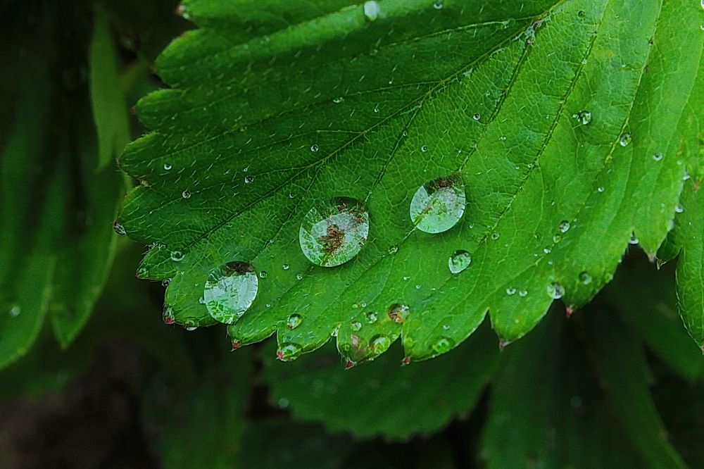 Photograph by Евгений Шульга