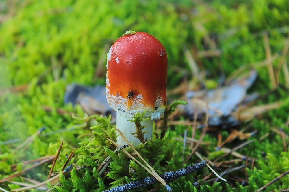 Photograph by Евгений Шульга