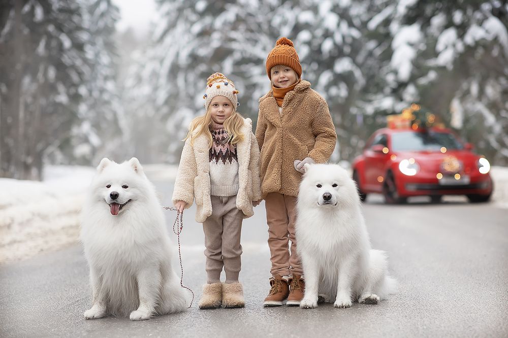Photograph by Виктория Королева