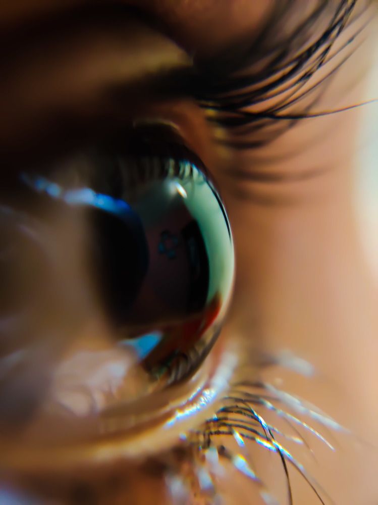 Macro shot.