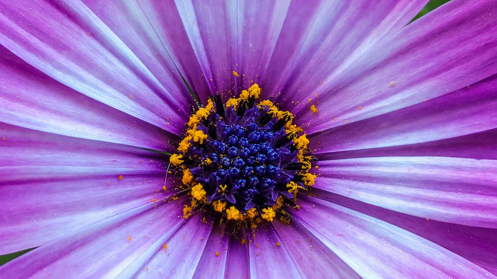 Photograph by sadouni zaki