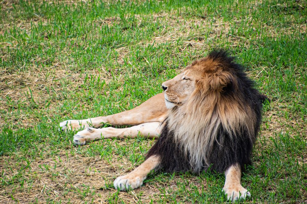 Photograph by Eduardo Vega