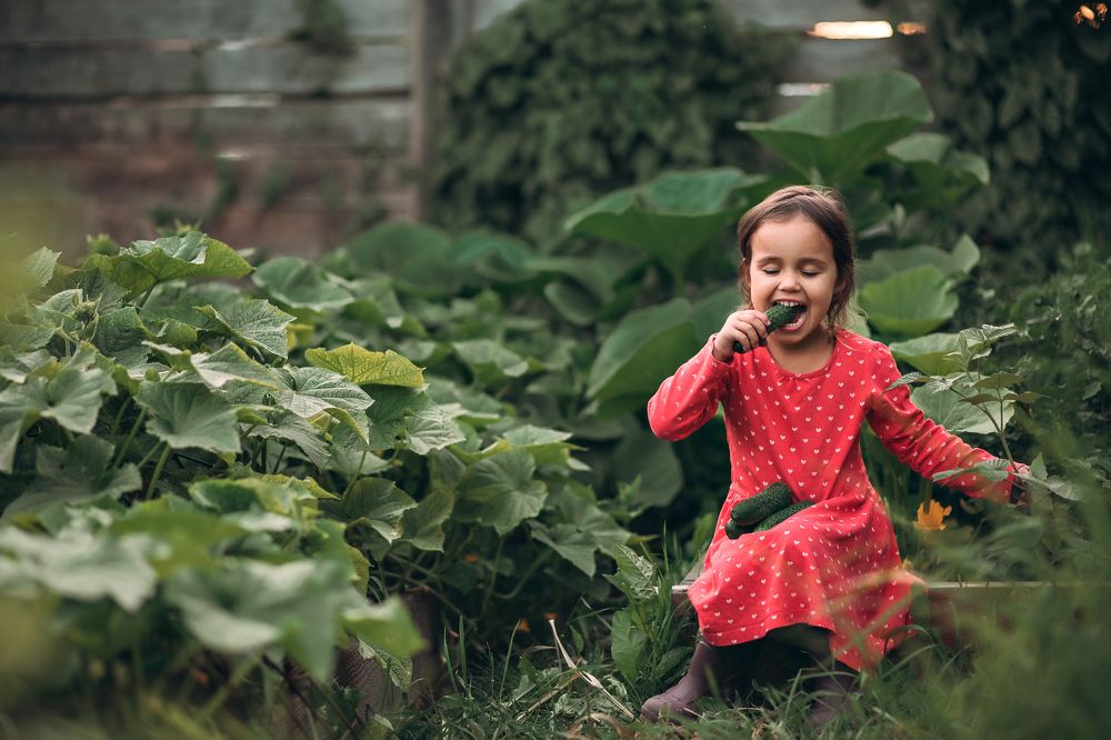Photograph by Анастасия Родина