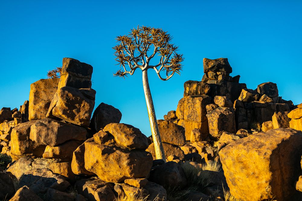 Photograph by АНДРЕЙ ВАГАНОВ