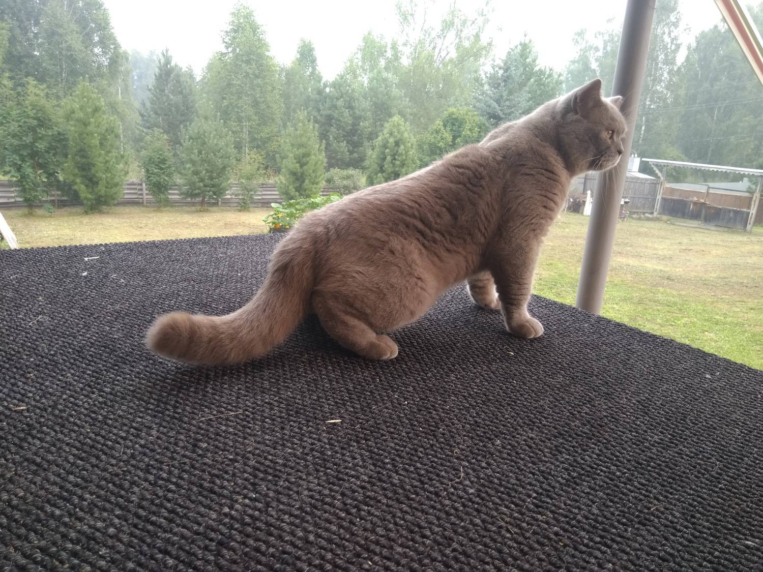 Photo #6407886