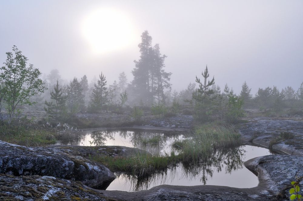 Photograph by Татьяна Мещерякова