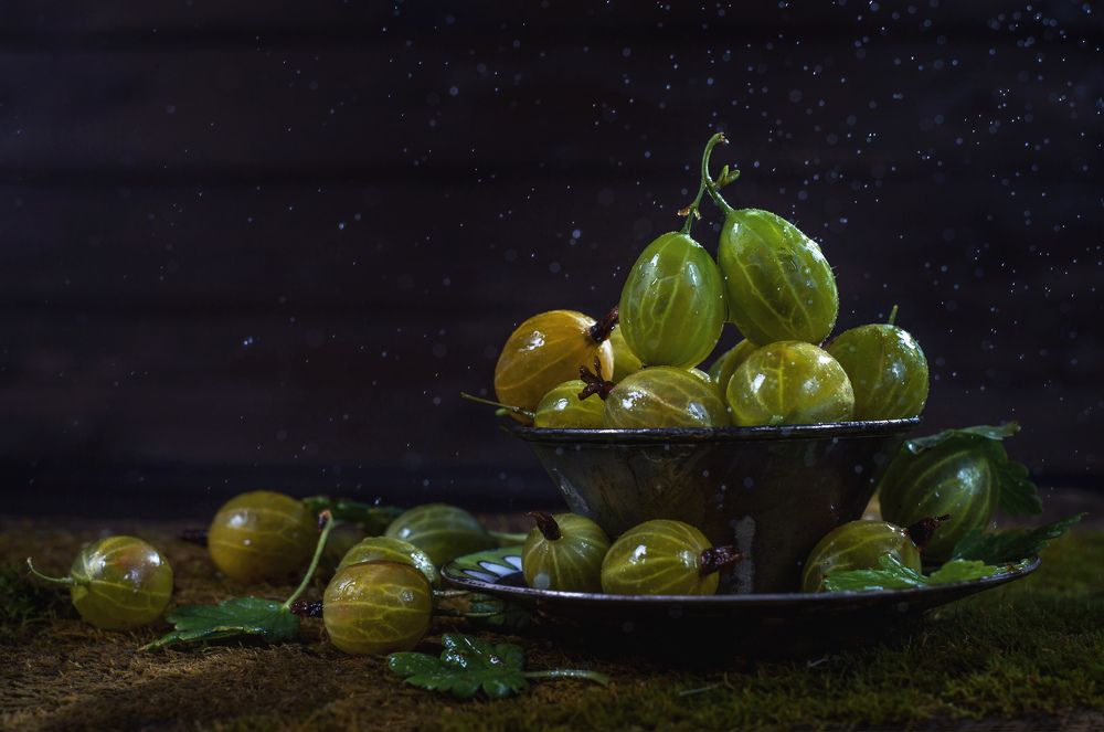 Photograph by Курамшина Татьяна