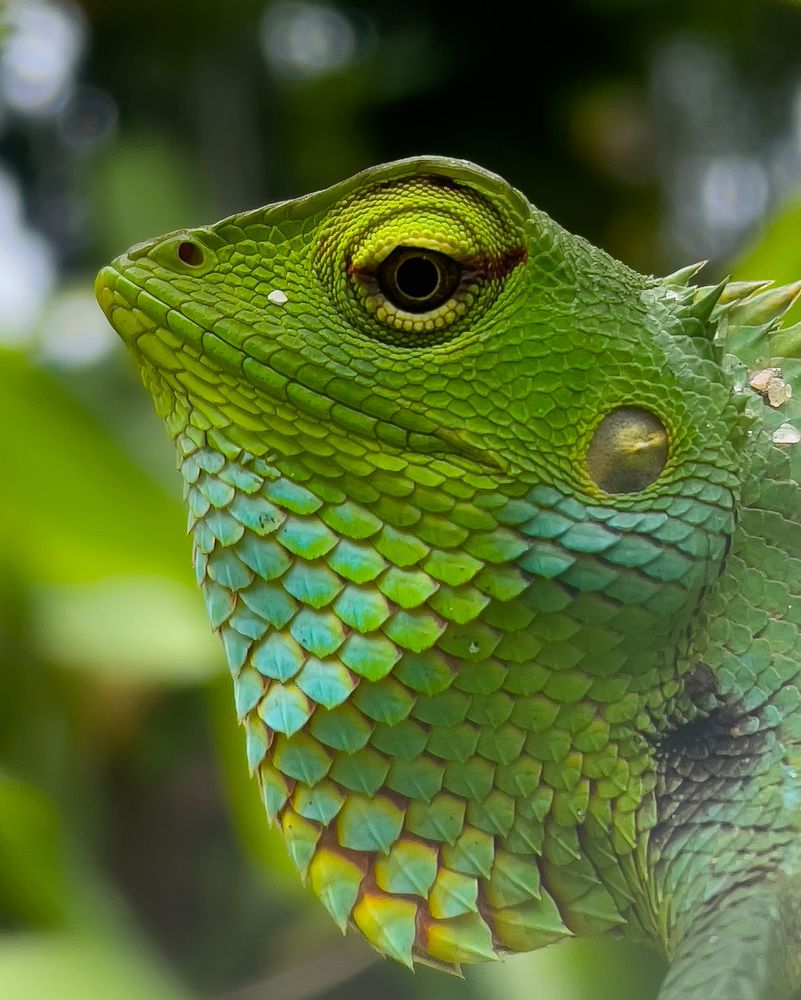 Photograph by Prasanth V