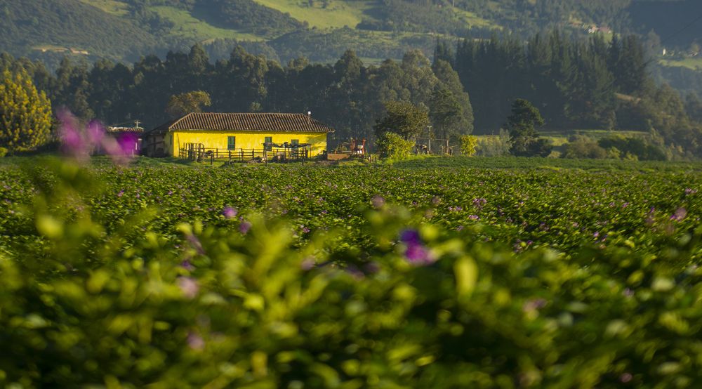 Photograph by Mario Predraza