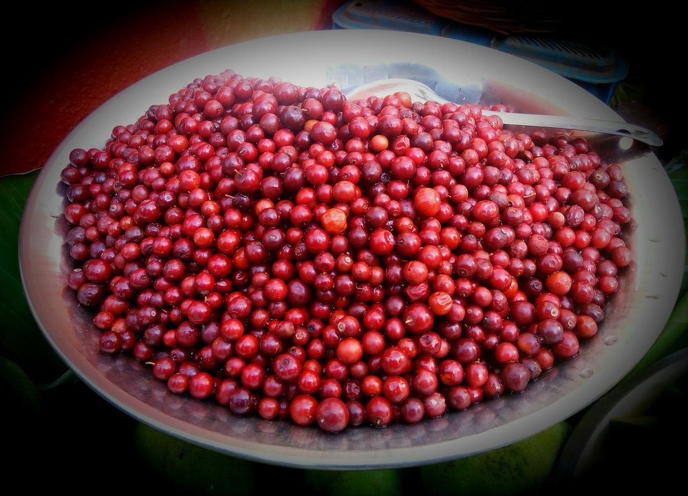 Photograph by Amar Kulkarni