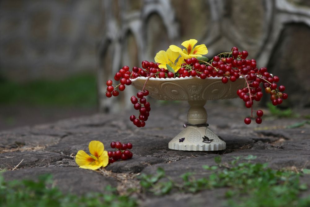 Photograph by Yuliy Osipova