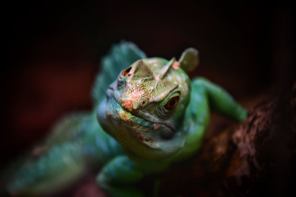 Photograph by Nora Keri