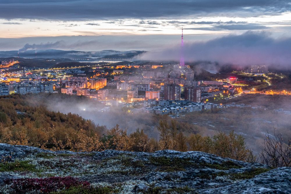 В розовом тумане