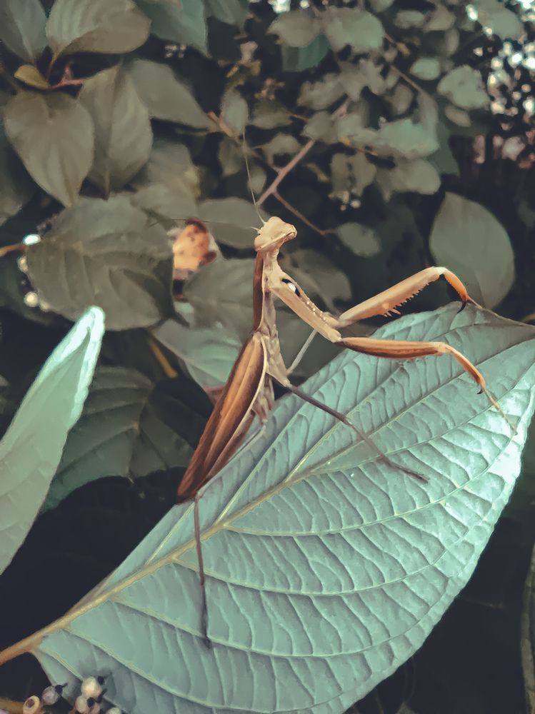 Photograph by Максим Зенкевич