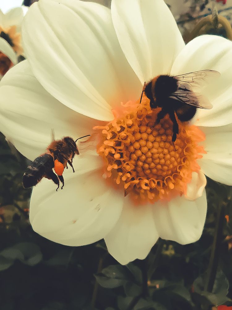 Photograph by Максим Зенкевич