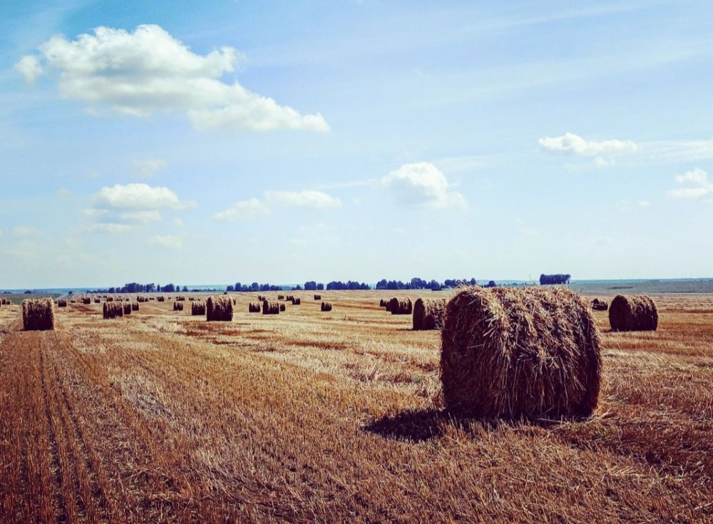 Дыхание осени..