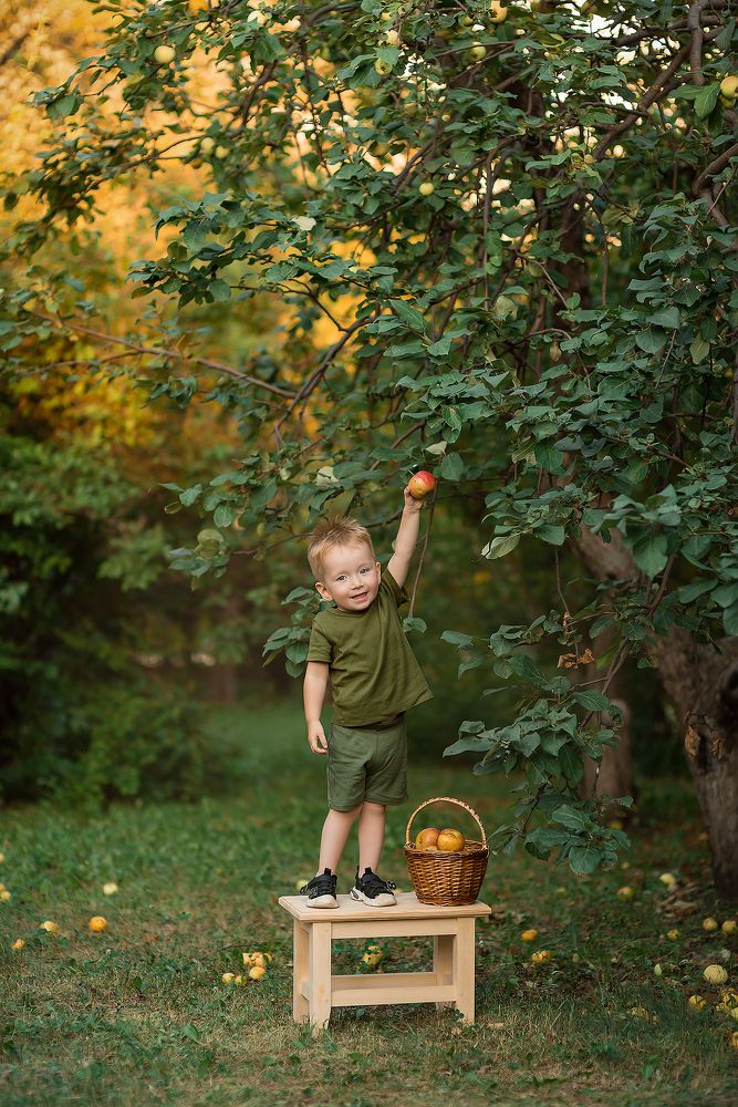 Photograph by Андрей Виденеев