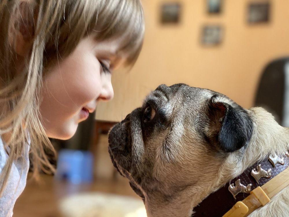 Photograph by Ольга Петухова