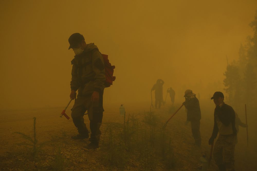 Добровольцы