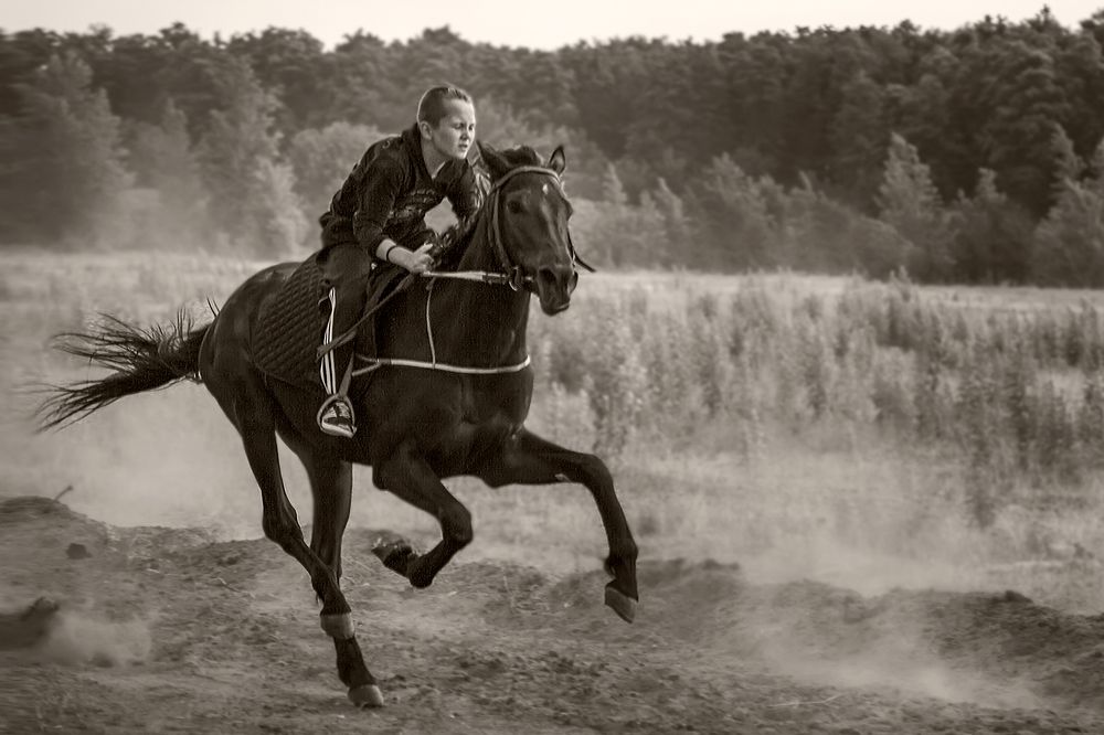 Photograph by Марат Кучкаев