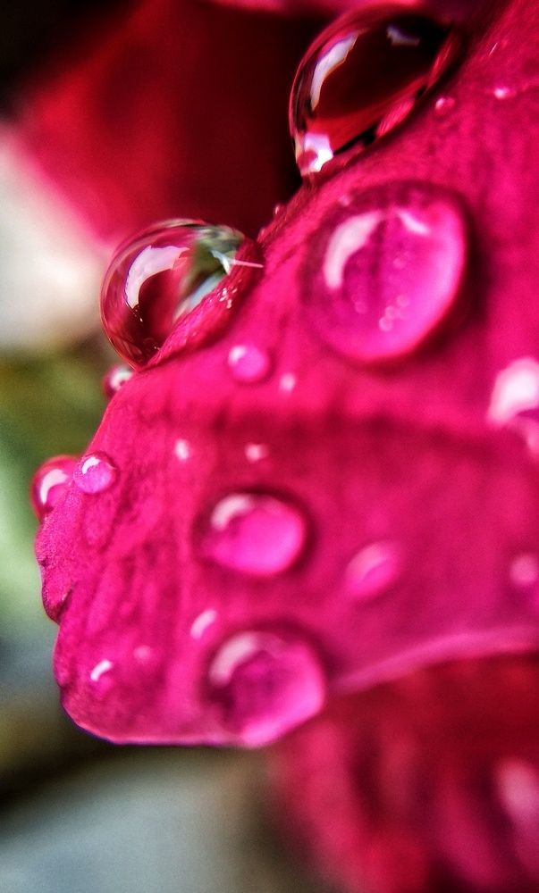 Фотография автора Aryan Singh