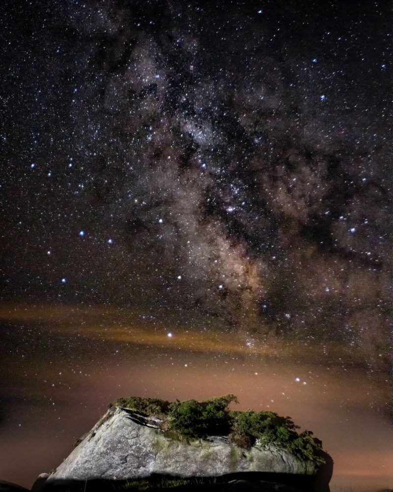 Фотография автора Laura Baratas