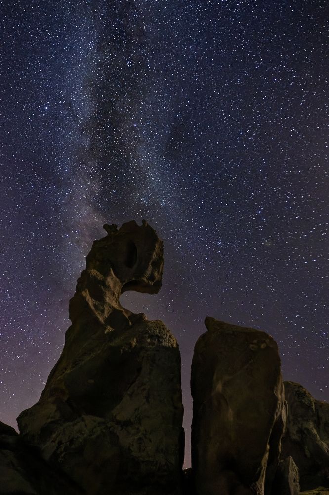 Фотография автора Laura Baratas