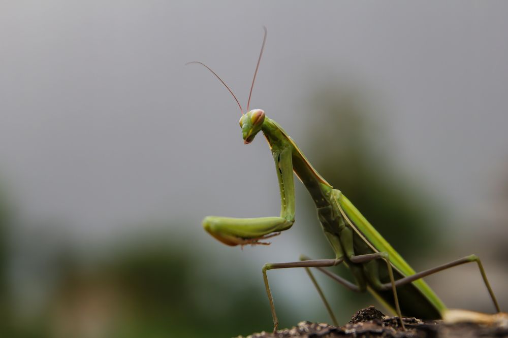 Photograph by Наталья Рябоконенко