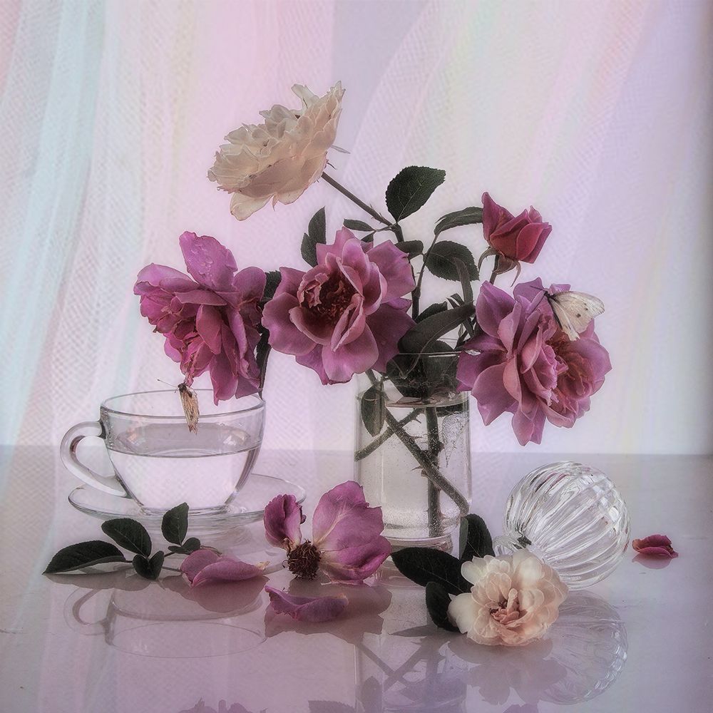 Розы цвета сирени