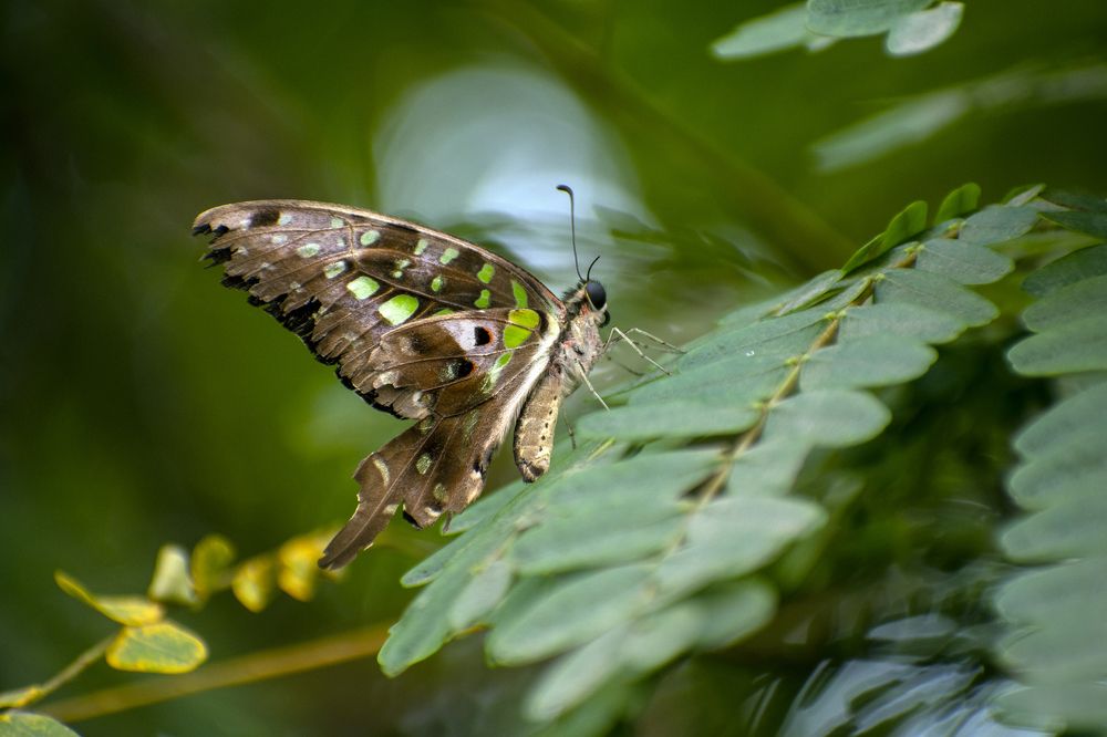 Photograph by mayur shrimali