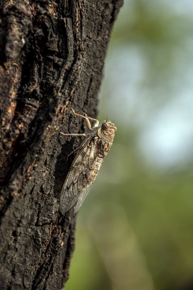 Photograph by mayur shrimali