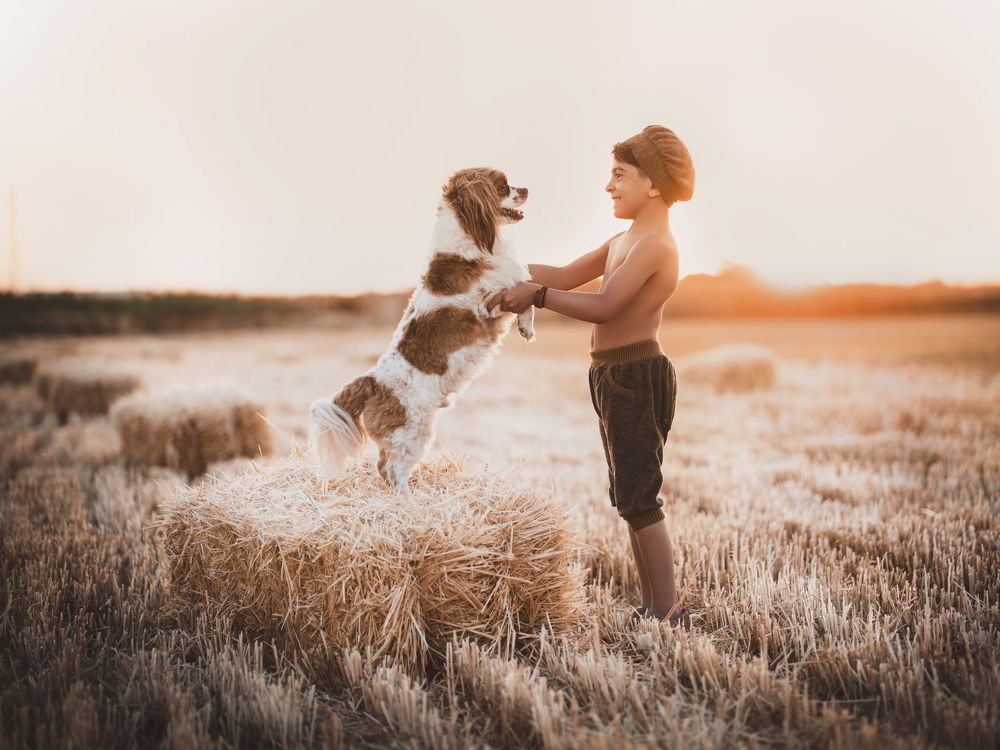 Фотография автора amin maleki