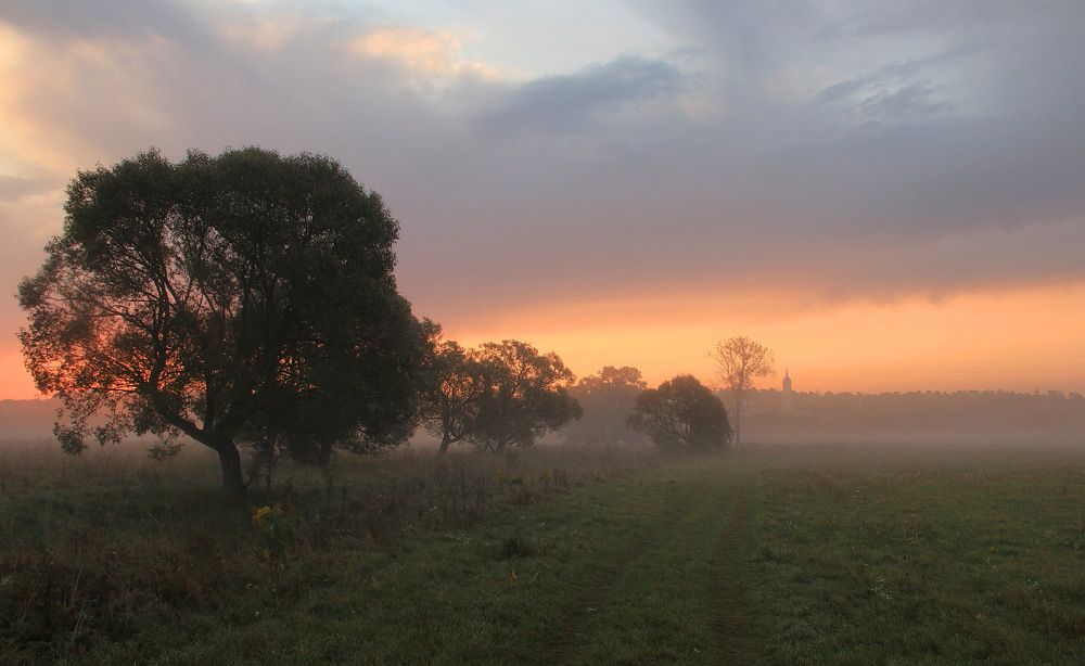 Photograph by Суетинов Евгений