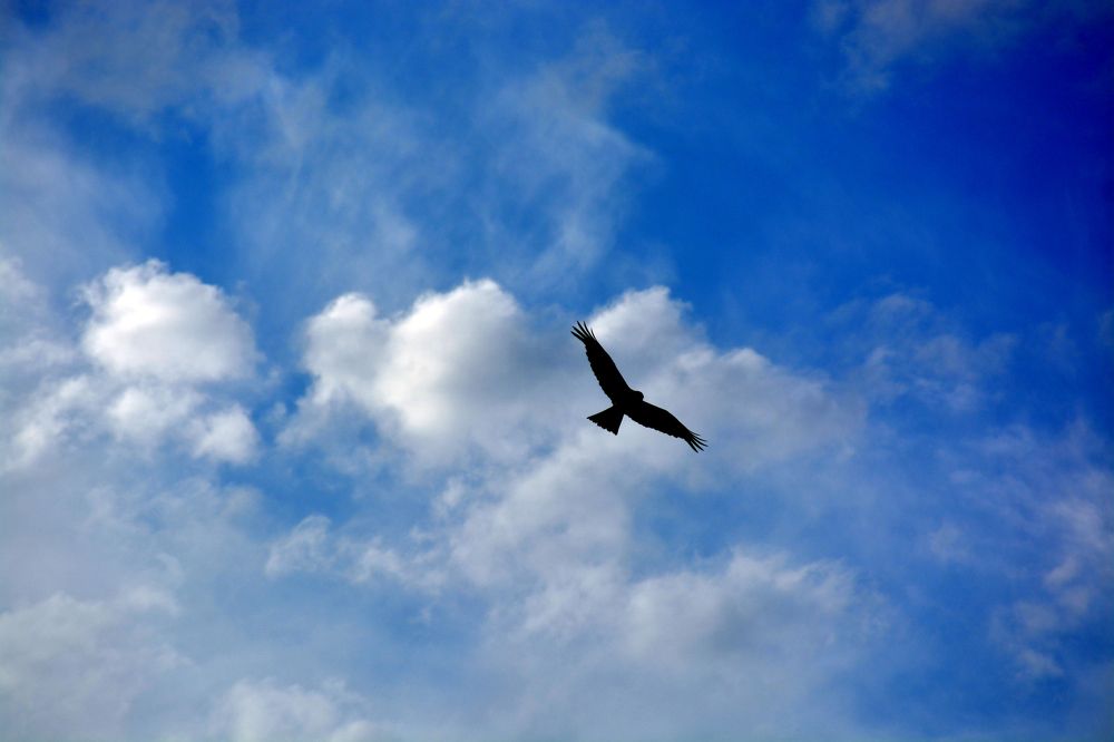 Photograph by БРОВКО АЛЕКСАНДР ИВАНОВИЧ