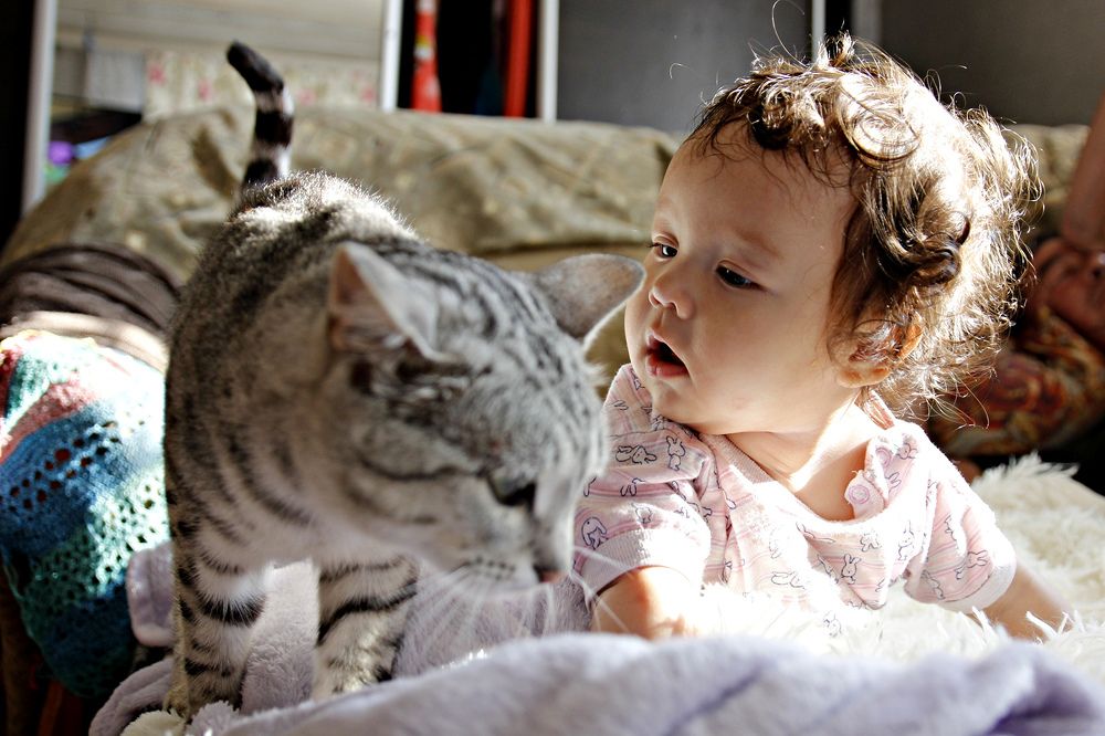 Фотография автора Людмила Иванова