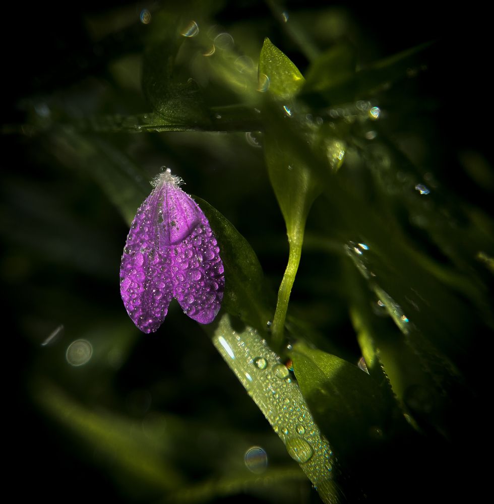 Photograph by Леонид Положевец