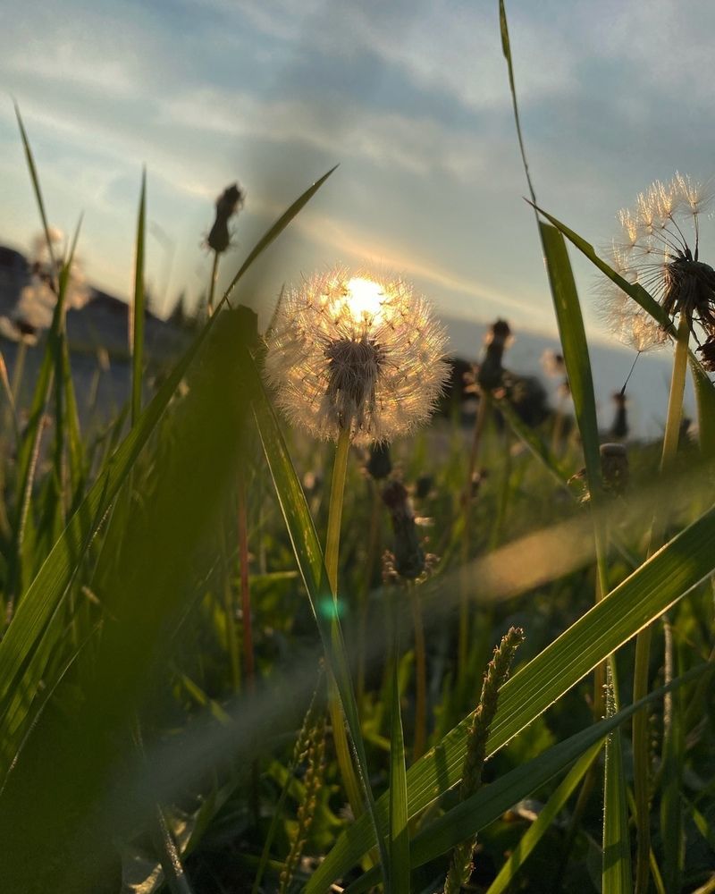 Photograph by Анна Столбицкая