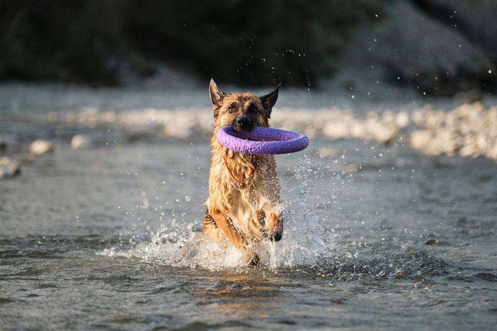 Photograph by Екатерина Кобальнова