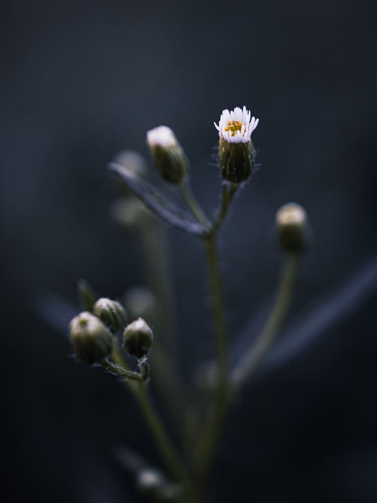 Photograph by Ирина Семёнова