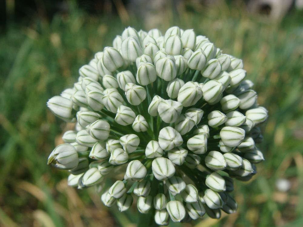 Photograph by Сергей Кривоносов