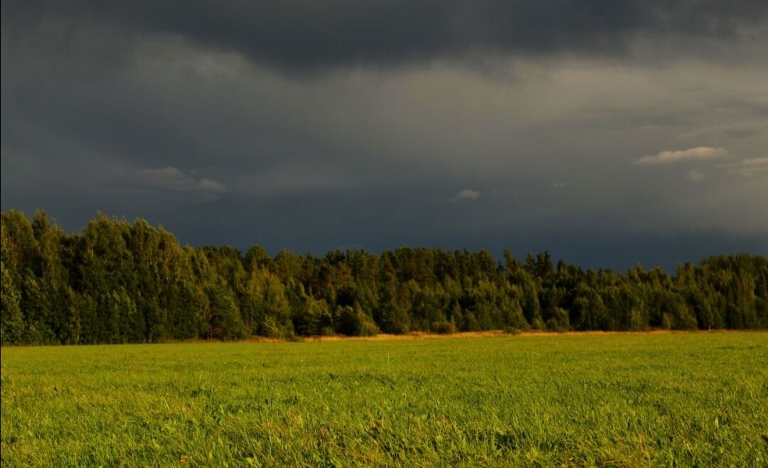 Photo #6408768