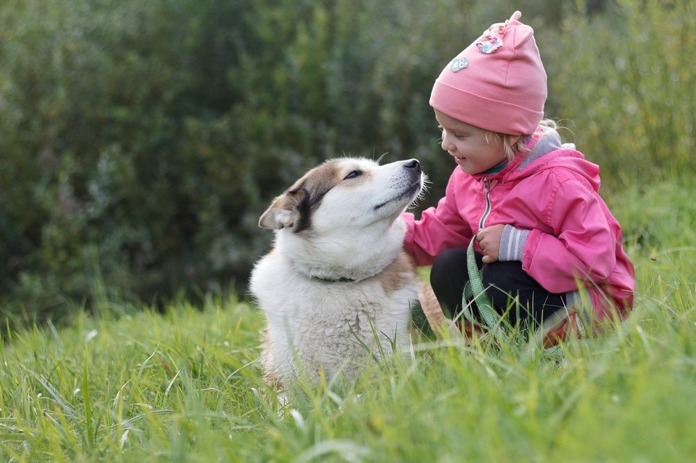 Фотография автора Татьяна Степанова