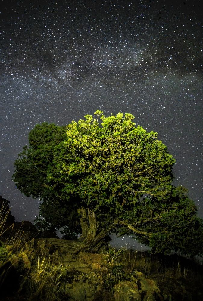 Photograph by hamidreza hadad