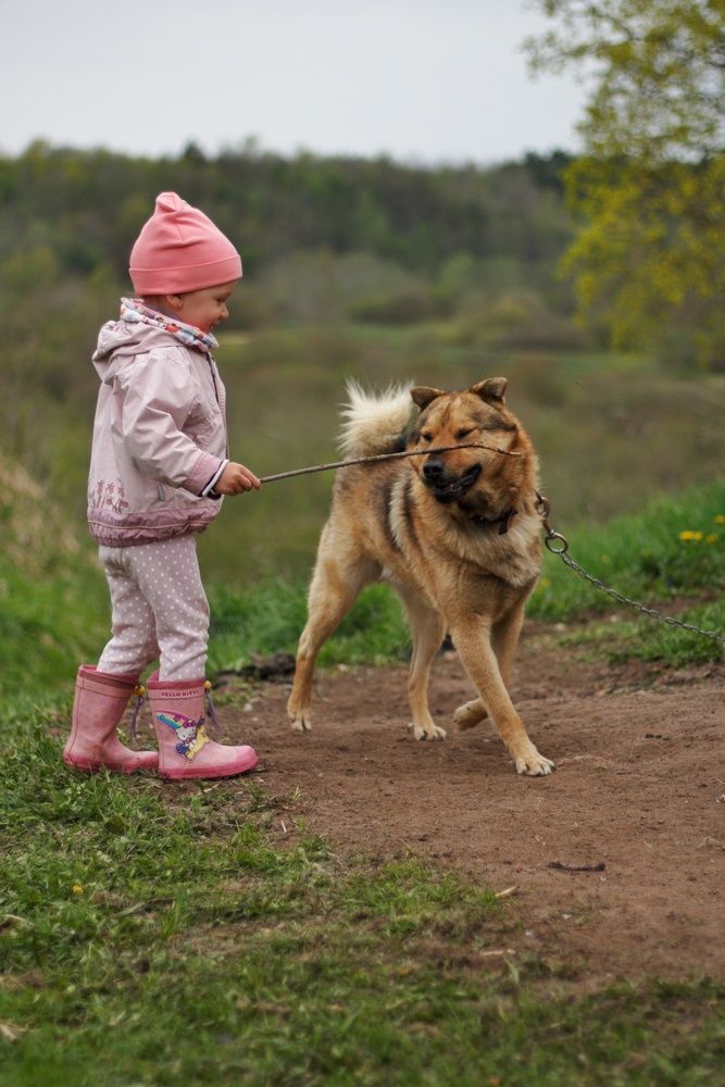 Фотография автора Татьяна Степанова