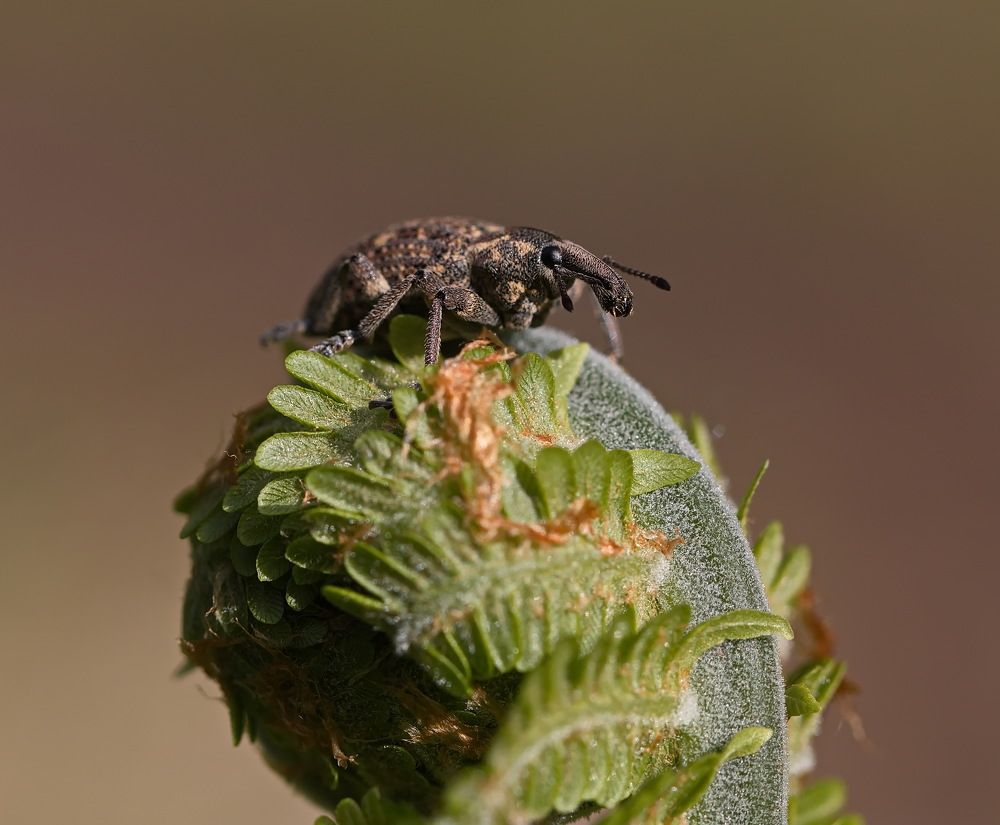 Photograph by Анатолий Васильев