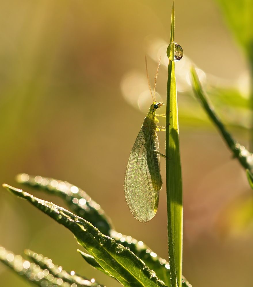 Photograph by Анатолий Васильев