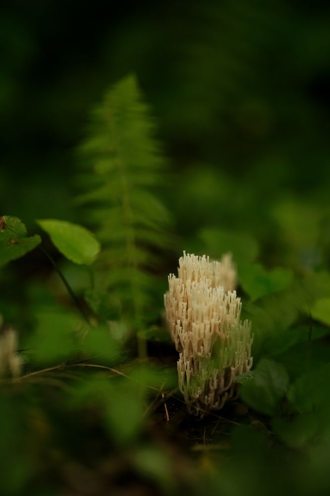 Photograph by Владимир Леликов-Кузьменко