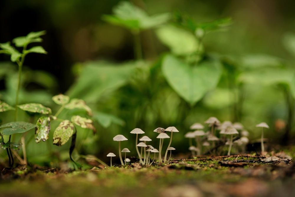 Photograph by Владимир Леликов-Кузьменко