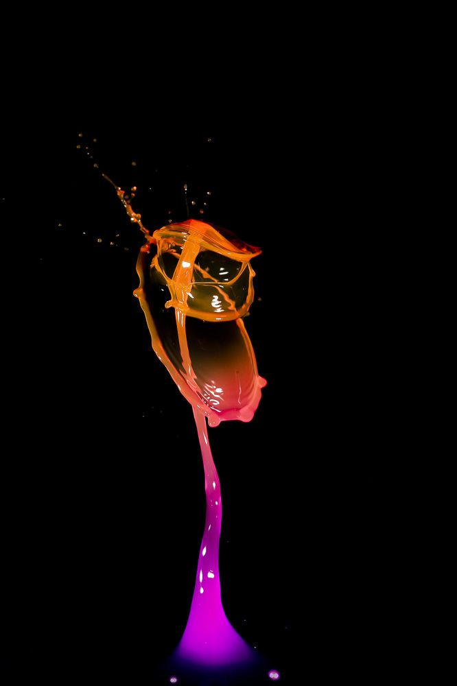 Photograph by Ritu Gupta