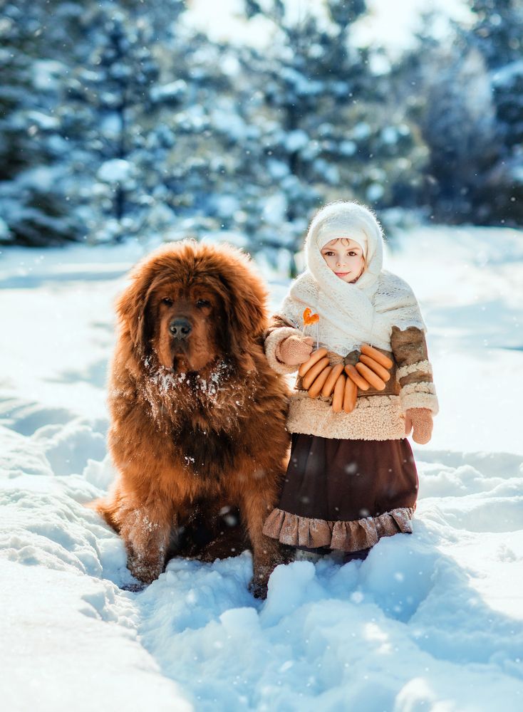 Фотография автора Диана Липкина